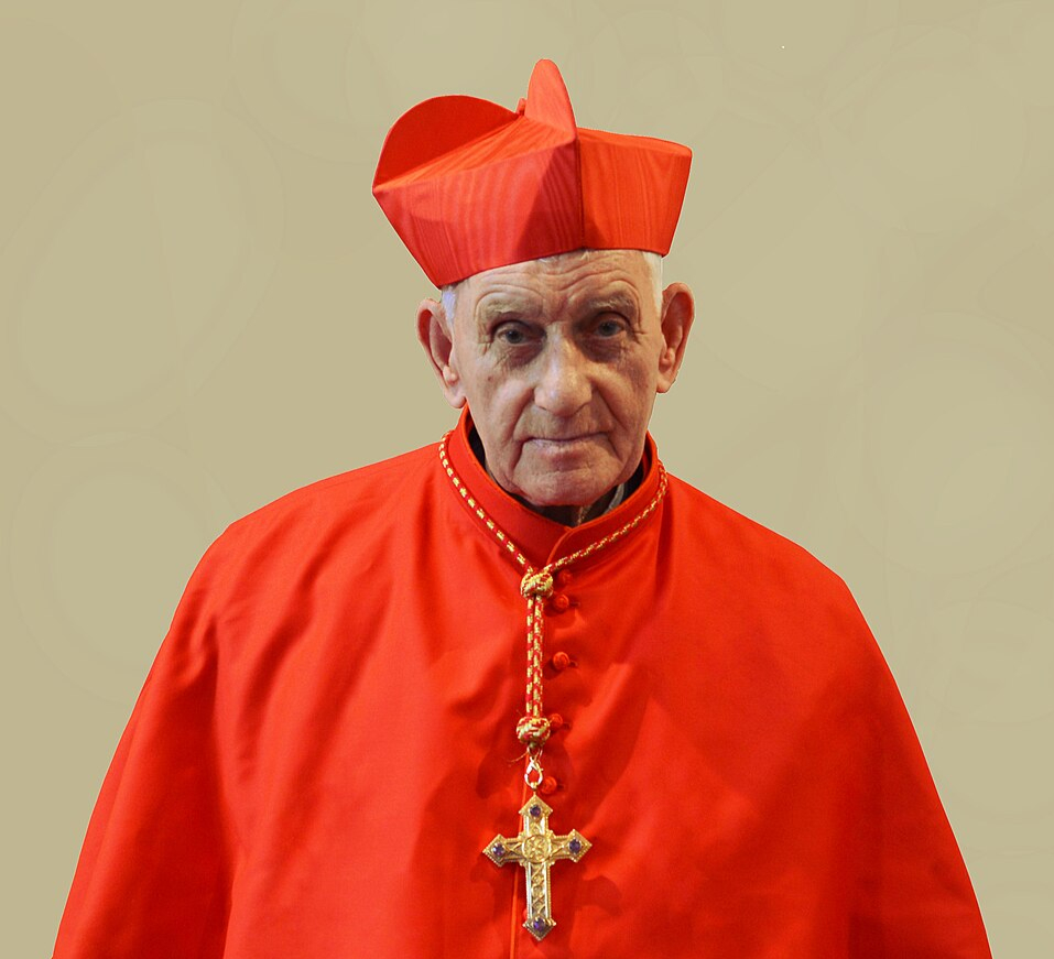 Pope Leo receives Cardinal Simoni in private Vatican audience after Easter appearance