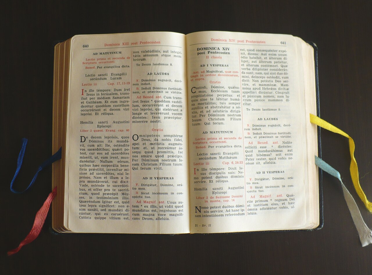 Inside Introíbo: the free Latin Mass app turning phones into missals