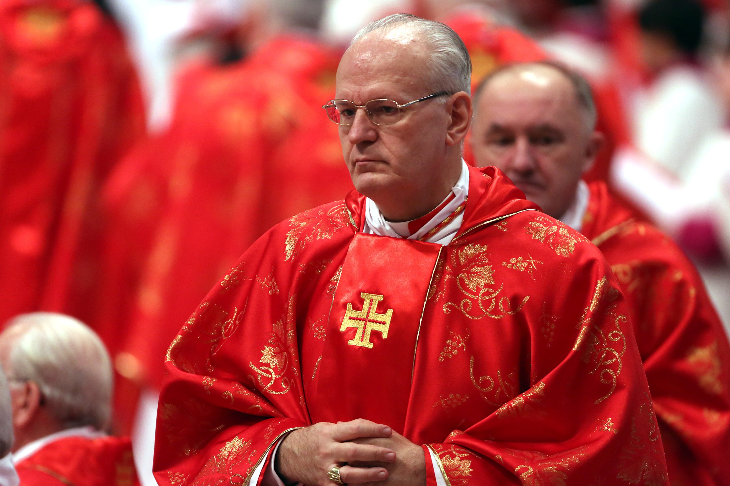 Cardinal Erdő returns to public life