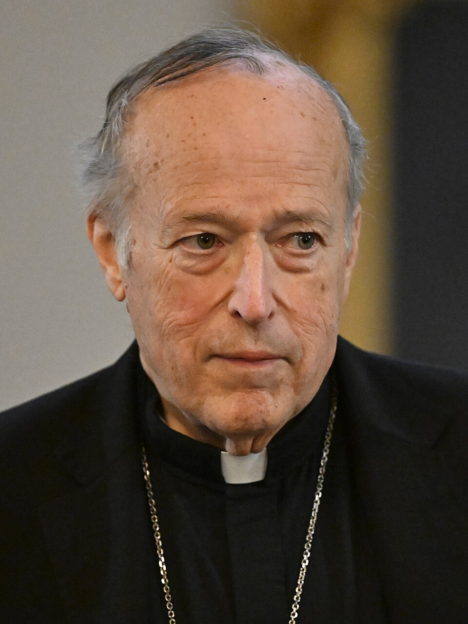 Cardinal McElroy removes Monsignor Rossetti as exorcist after UFO comments
